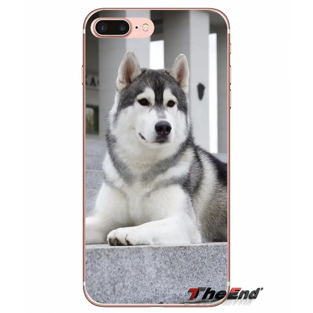 Для iPhone X 4 4S 5 5S 5C SE 6 6S 7 8 Plus Samsung Galaxy J1 J3 J5 J7 A3 A5 2016 2017 защитный чехол для телефона с