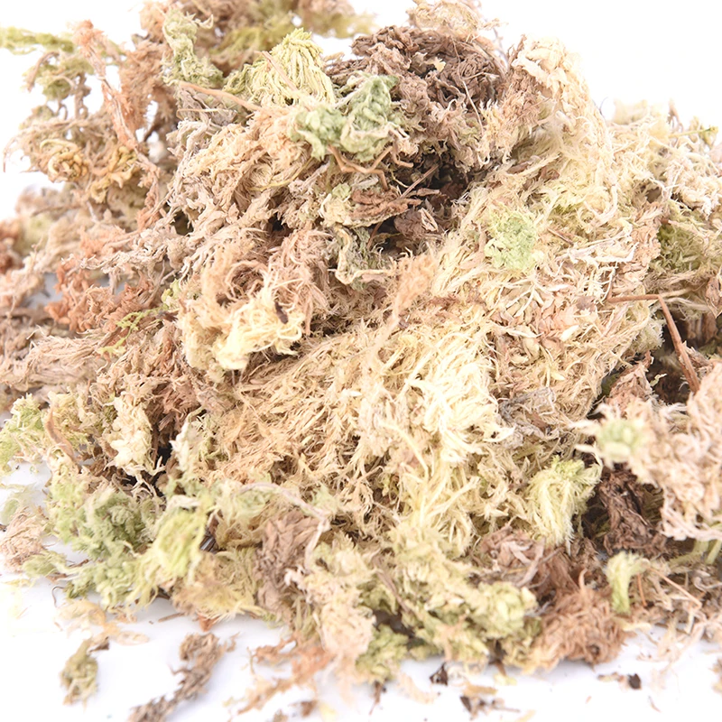Увлажняющее питательное органическое удобрение Sphagnum Moss 12 л для орхидеи Садовые