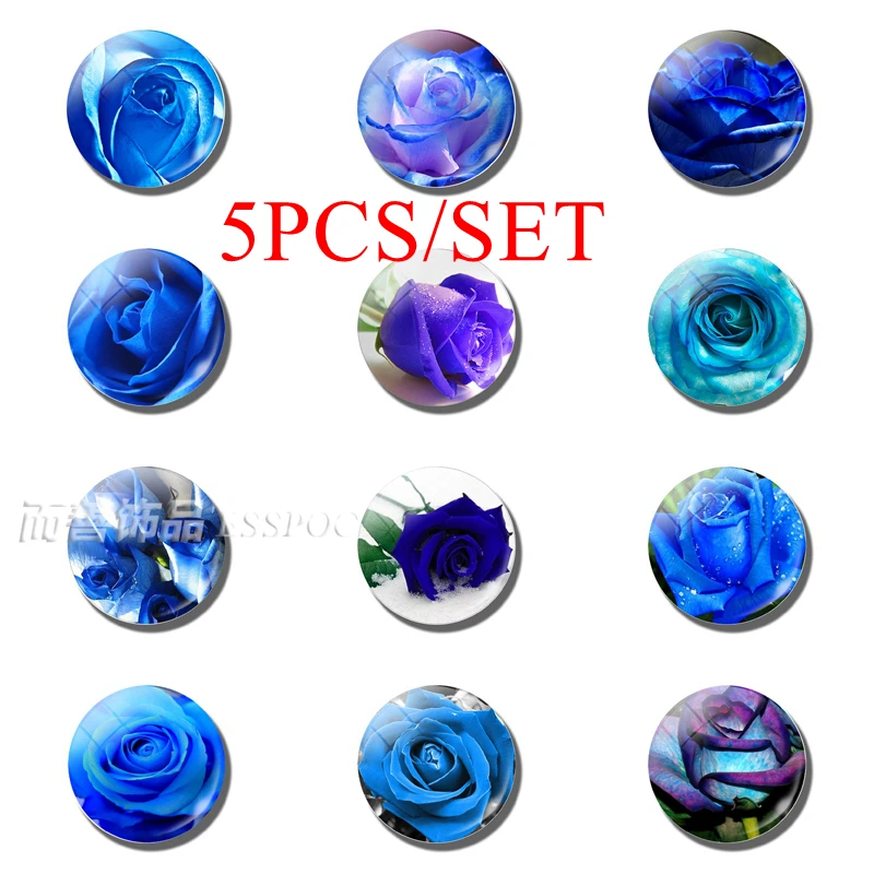 

5PCS/SET 5PCS/SET Blue Enchantress Blue Love Rose Flower Lover Jewelry 25MM Glass Dome Craft Supplies Supplies Making Lover Gift