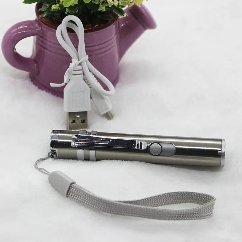 Кошка Чейз игрушки светодиодный красный легкое Зарядное устройство USB обучение