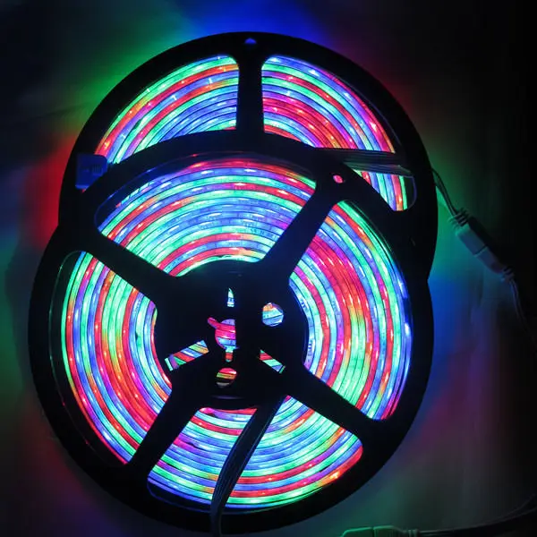 2x5 м лошадь Гонки Водонепроницаемый IP65 54led/m 270 светодиодов 5050 RGB SMD Мечта Цвет