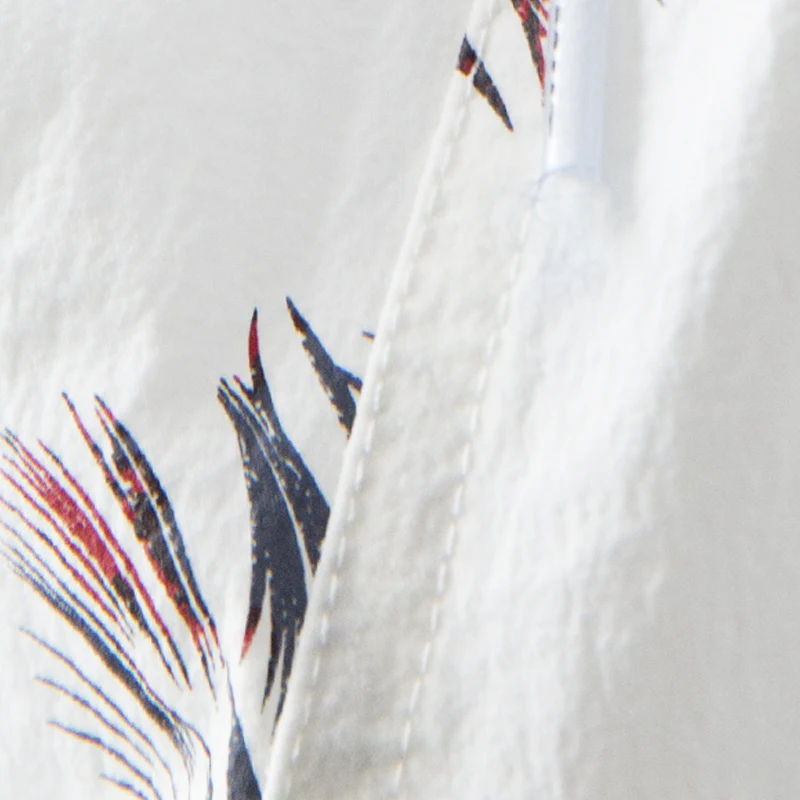 2018 Брендовые мужские летние пляжные шорты для серфинга сексуальные плавательные