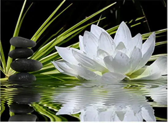 5D алмазная живопись цветок лотоса вышивка крестиком сделай сам цветы алмазные