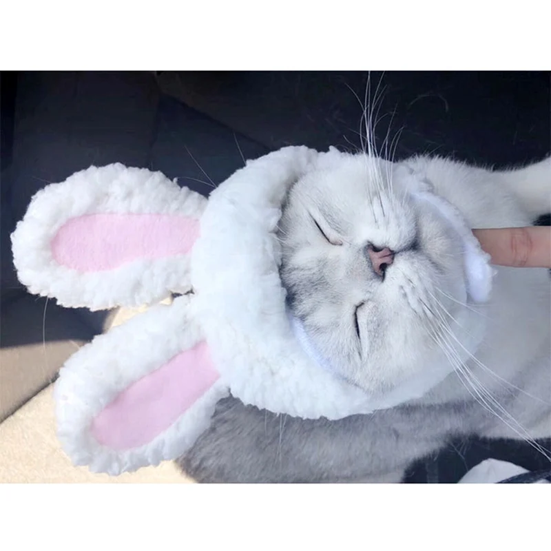Забавный питомец собака, кошка, Кролик уши шляпа кроличьи уши костюм теплый Bunny Ears Кепки Головные уборы год вечерние аксессуары реквизит для фотосессии