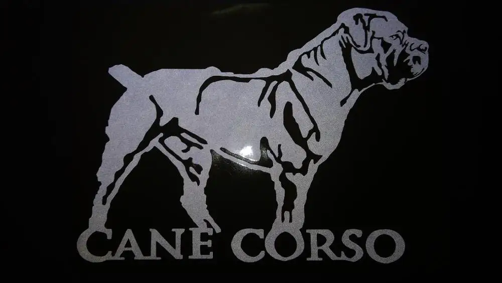 Виниловая наклейка для автомобиля NetCat /Cane Corso cane da corso