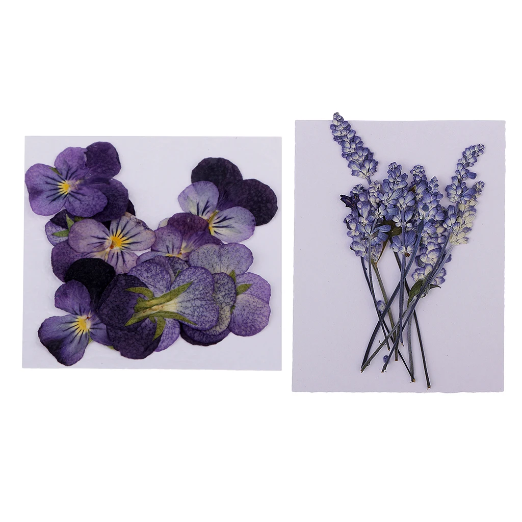 22 шт. натуральные прессованный высушенный фиолетового и Шалфей цветы смолы