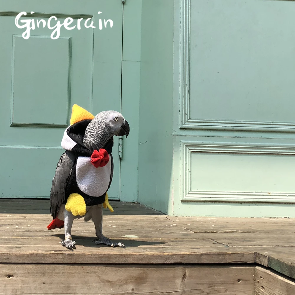 Gingerain Bird clothes Parrot q guy original hand-made custom bird Hooded Sweater White cloud roll | Дом и сад