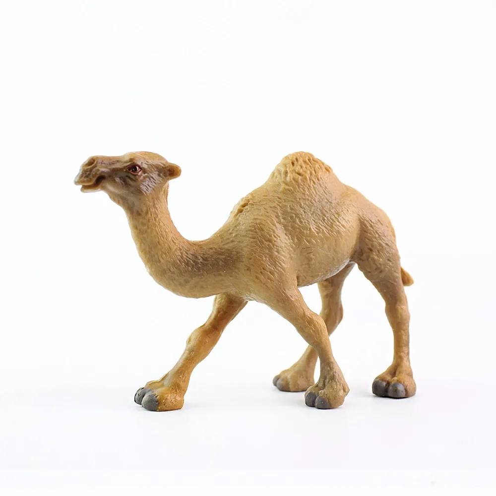 Wiben Camel сафари дикое сафари дикая природа дромедари Модель Коллекция для детей Детские игрушки Подарки на день рождения