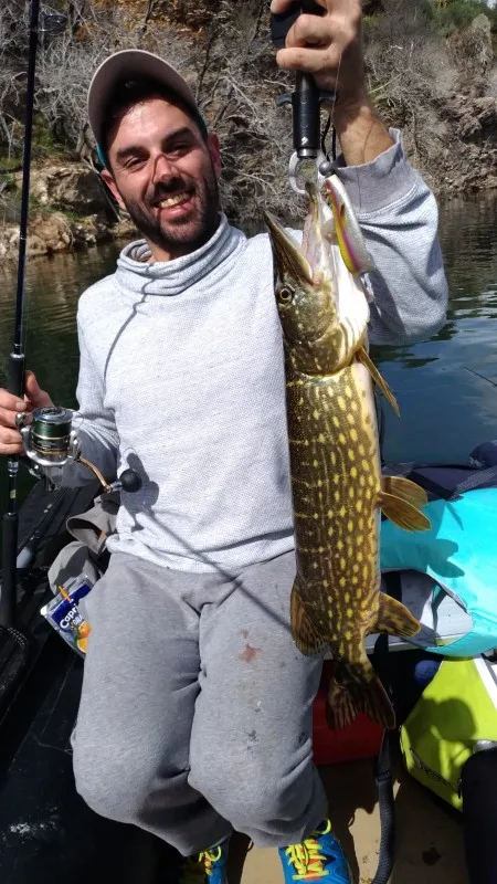 HUNTHOUSE 3 шт./лот приманка для щуки 12 см 15 см 18 см Fox Rage Pro Shad натуральная классика приманка berserk shad большие приманки для шеда leurre soule