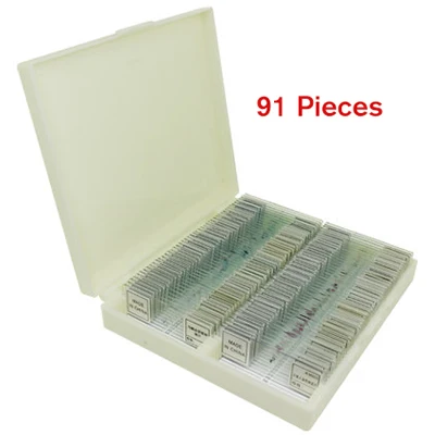91 pieces Китайский/английский этикетки Животные, насекомые и растения 11/25/50/91 штук образец готов стекло предметное стекло для микроскопа школьные биологические лаборатории - Цвет: 91 pieces