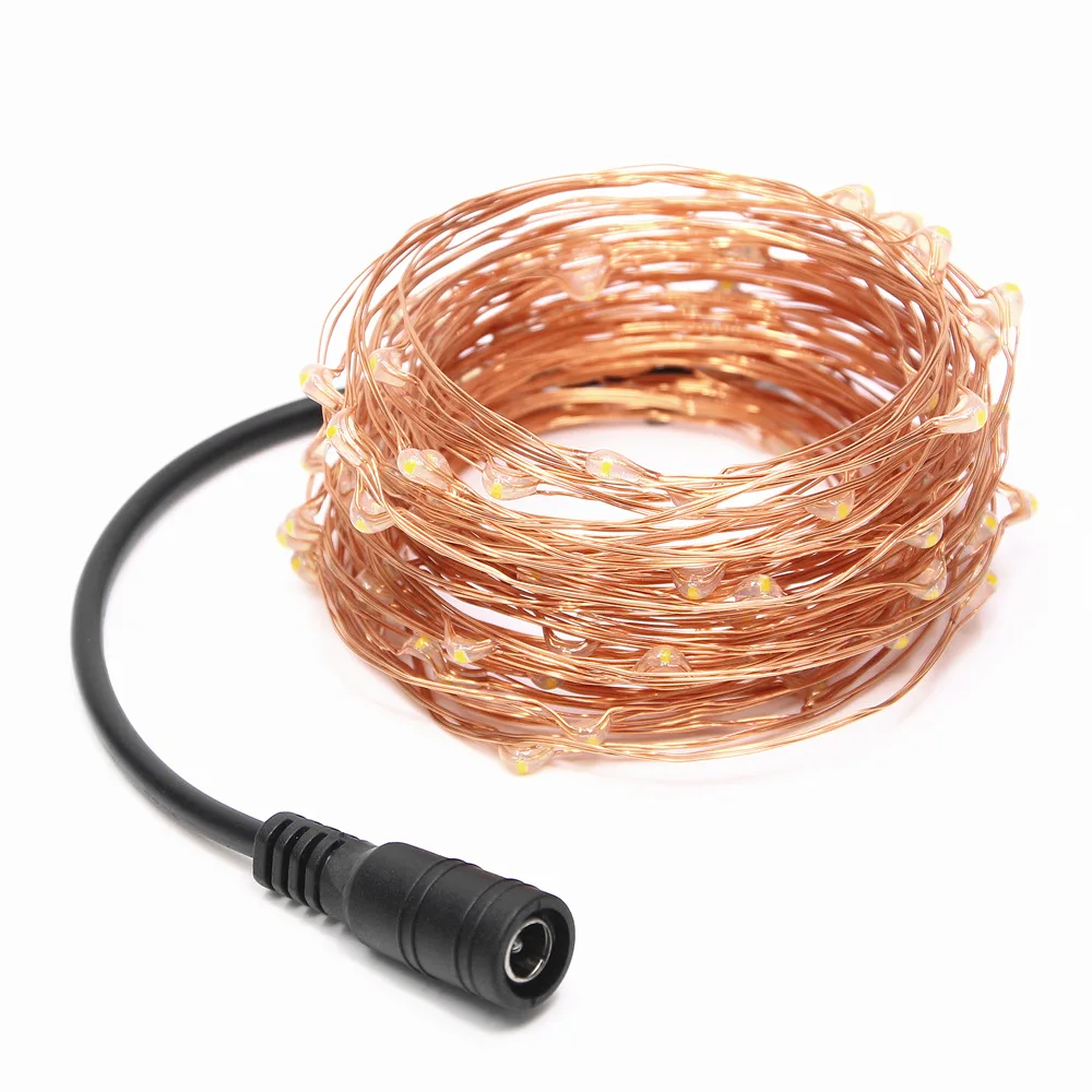 DC12V гирляндой светодио дный строка 10 дный/м Рождество Водонепроницаемый гирлянды