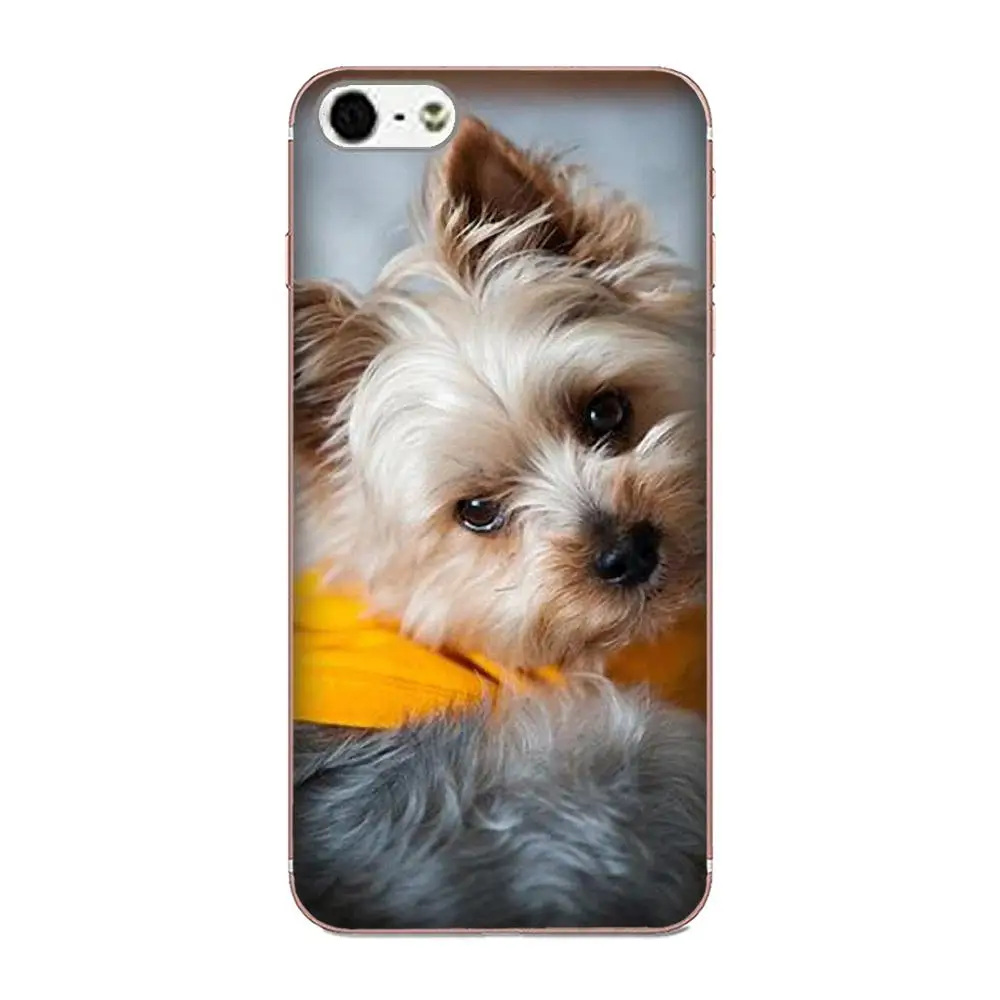 Чехлы из ТПУ для щенков йоркширской собаки Sony Xperia Z Z1 Z2 Z3 Z4 Z5 compact Mini M2 M4 M5 T3 E3 E5 XA XA1 XZ