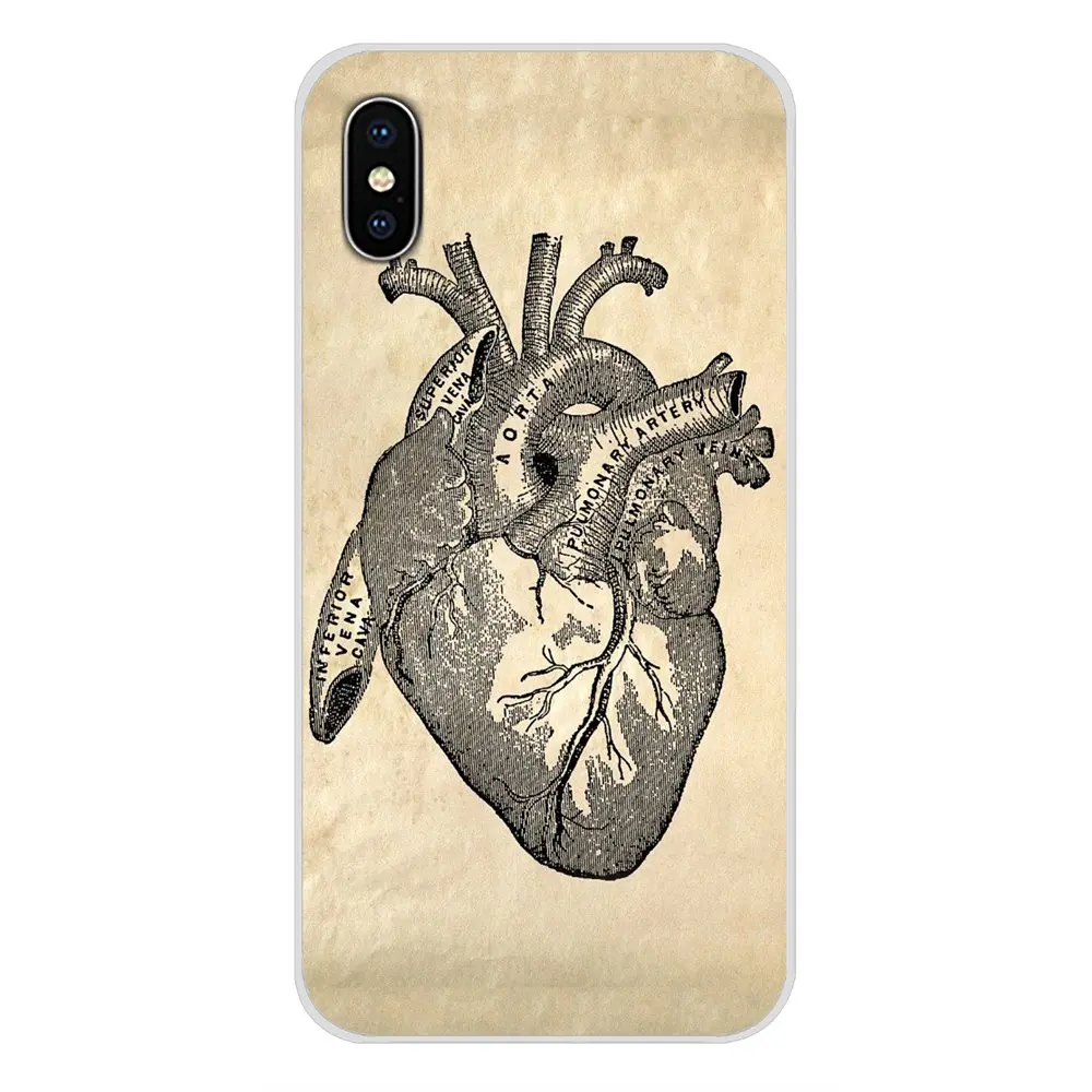 Чехлы для мобильных телефонов винтажная медицинская анатомическая диаграмма
