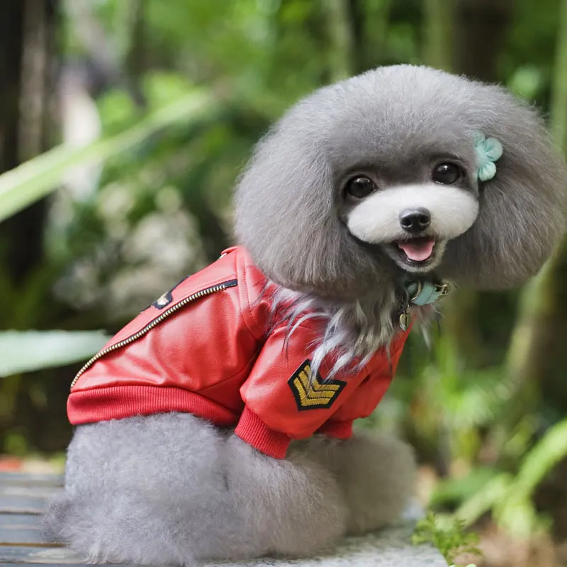 Однотонные красные синие теплые осень/зима прекрасный письмо щенок куртка