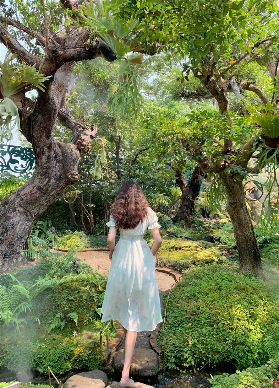 Новинка 2019 года для женщин Винтаж Красочные с пышными рукавами v образным вырезом