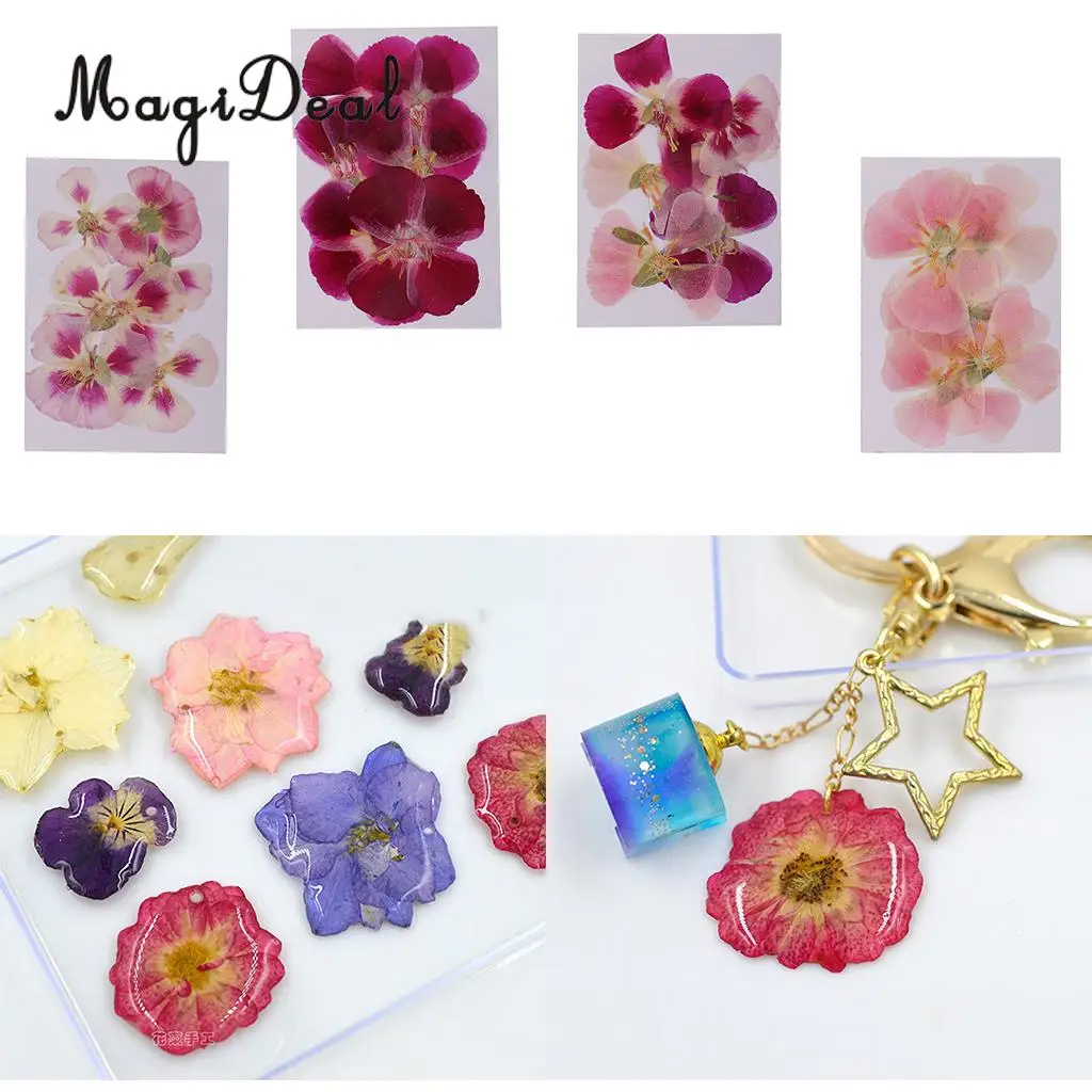 6x натуральные прессованные настоящие сухие цветы образец для изготовления