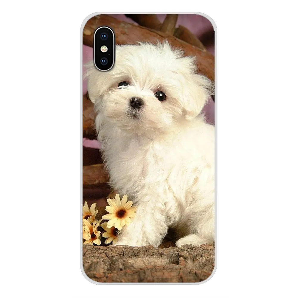 images 9 Для huawei G7 G8 P7 P8 P9 P10 P20 P30 Lite Mini Pro P Smart плюс белый Мальтийский щенки собака сотовый Чехол для телефона Чехлы - Цвет: images 9