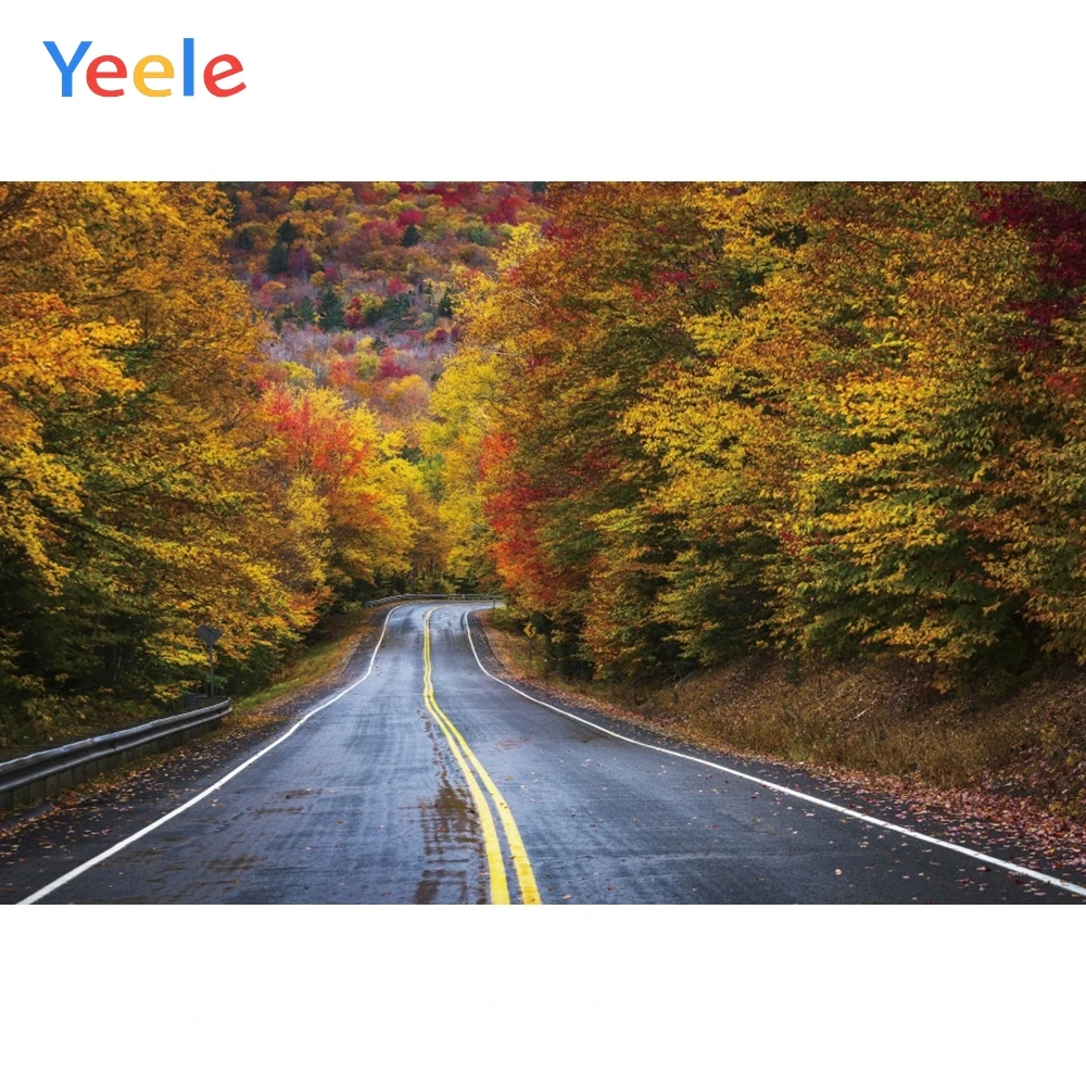 

Yeele Landscape Red Maple Forest Road Drawing Decor Photography Backdrops Personalized Photographic Backgrounds For Photo Studio