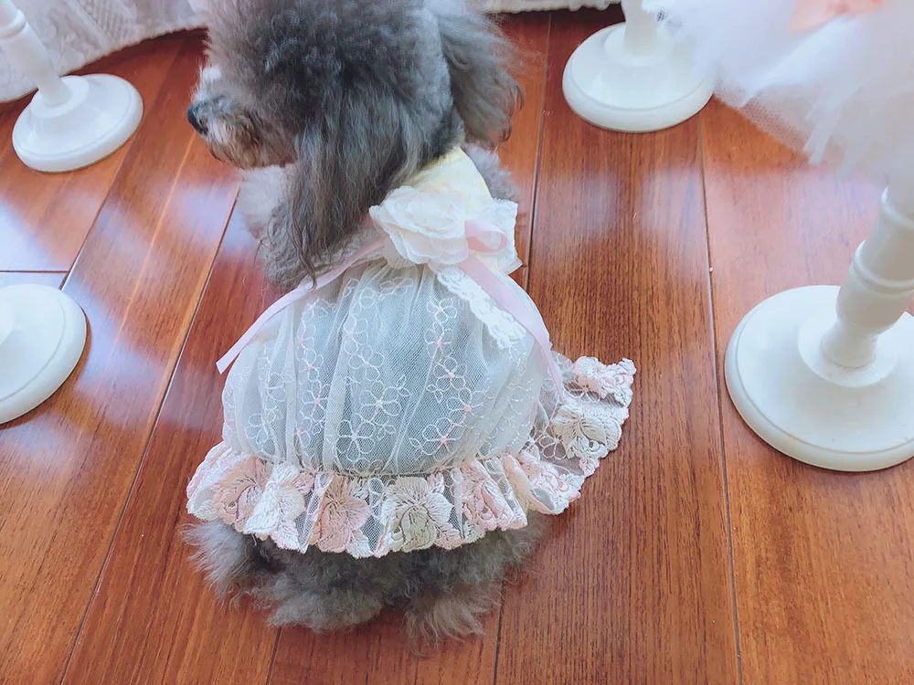 Роскошные вышивает Собака вечерние свадебные Платье с бантом кошка Pet юбка