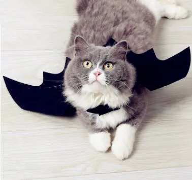 Новый костюм летучая мышь для Хэллоуина черные крутые крылья щенков кошек черных
