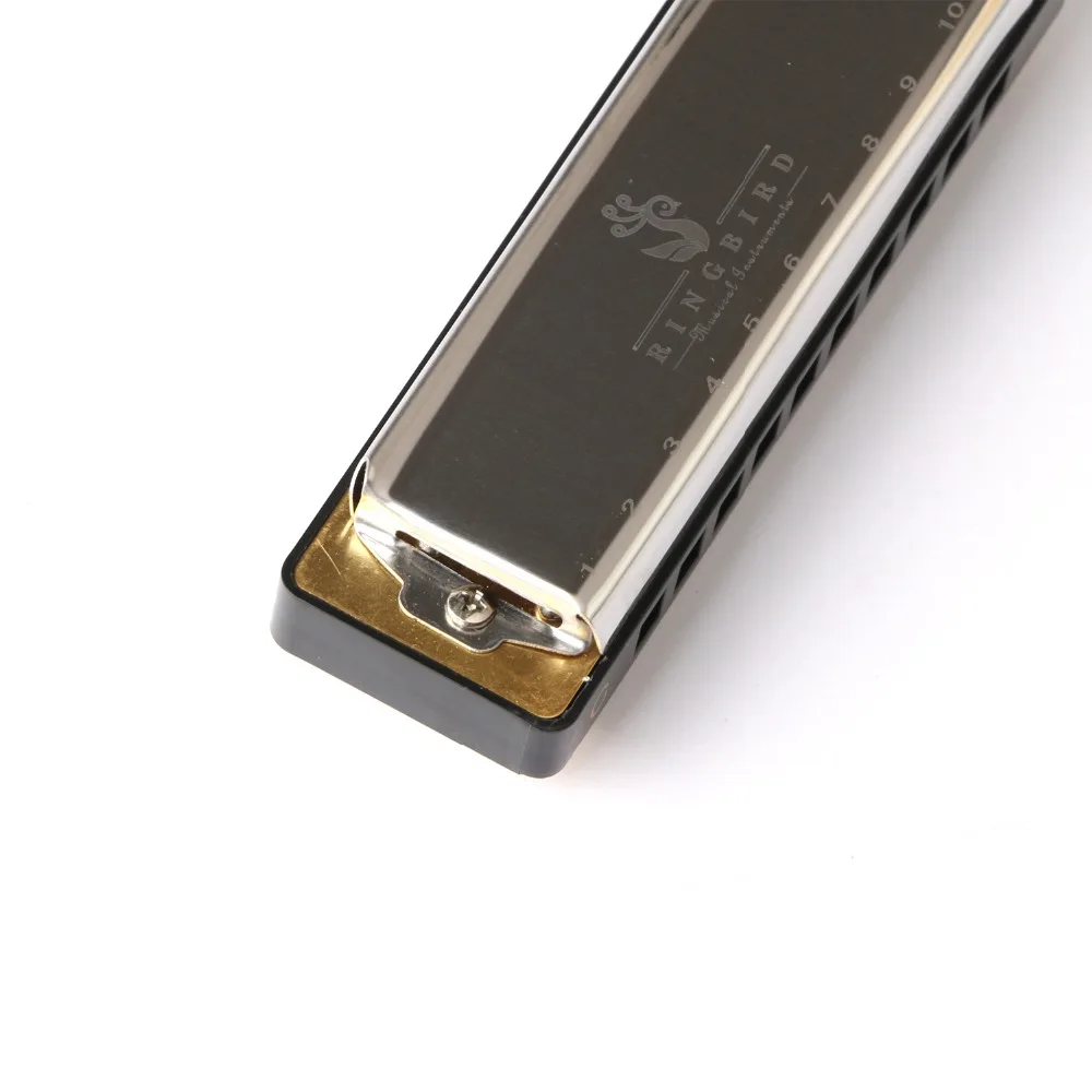 Профессиональные 10 hole diatonic blues harmonica C tune доступны три цвета|Губная гармошка| |