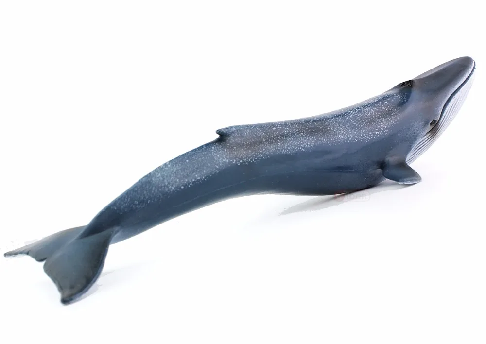 Wiben Sea Life, синие игрушечные киты, модель животного, фигурки, Классические игрушки для детей, коллекция моделей животных