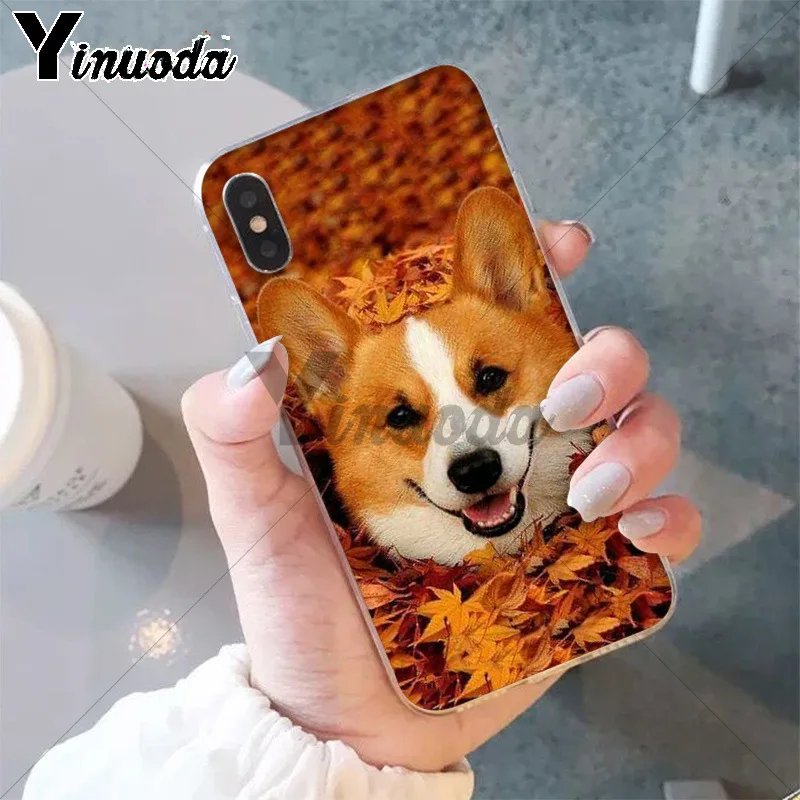 Умный чехол 11pro MAX Best friend animal corgi мягкий для Apple iPhone 8 7 6 6S Plus X XS 5 5S SE XR|Чехлы-накладки|