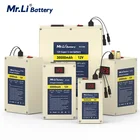 12V10Ah 12V20Ah 12V25Ah 12V30Ah Перезаряжаемые литий Lifepo4 Батарея пакет Встроенный BMS для бытовой техники на открытом воздухе Питание