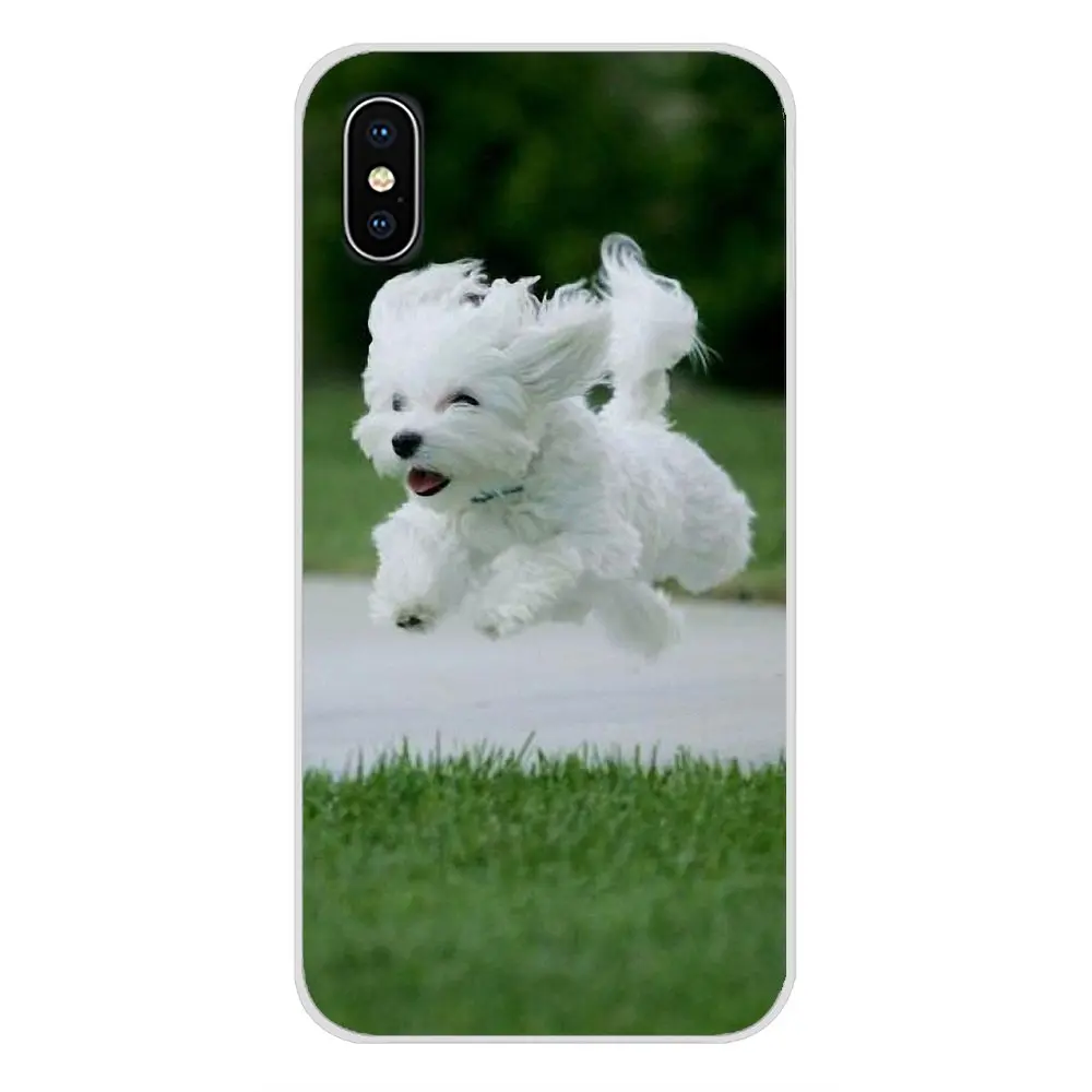 images 7 Аксессуары для телефона чехлы белый Мальтийский щенки собака для samsung A10 A30 A40 A50 A60 A70 Galaxy S2 Note 2 3 большое ядро Prime - Цвет: images 7