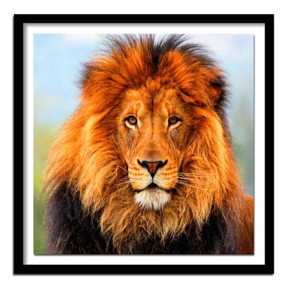 5D Diy diamond painting cross stitch s Full 100% cover embroidery animal lion home decor | Дом и сад