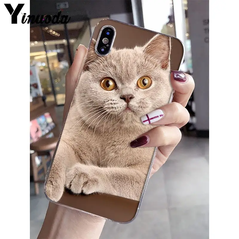 Yinuoda Британский короткошерстный Кот поделка-чехол для телефона для iPhone 5 5Sx 6 7plus 8 8Plus X XS MAX XR Fundas Capa
