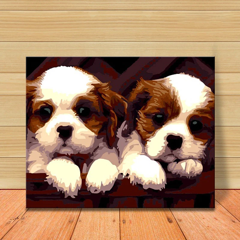MOLEK Puppy картина маслом по номерам с животными холст для взрослых детей рисование