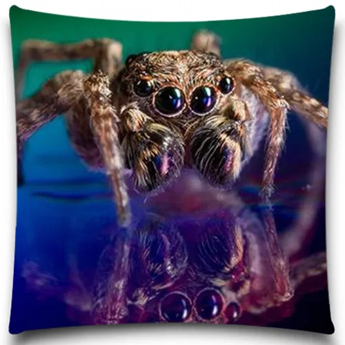 Квадратная наволочка для дивана Spider/Frog декоративная из хлопка/полиэстера | Дом и