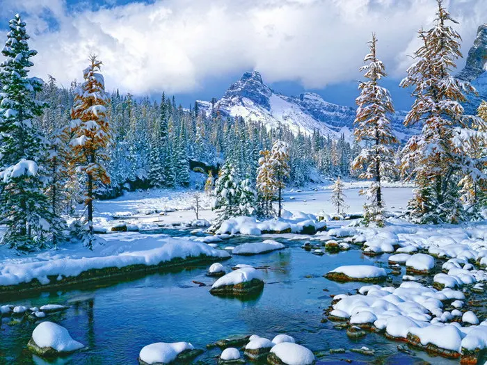 Полный набор для вышивания крестиком "5D Мозаичная картина с бриллиантами" с вышитым пейзажем в снегу.