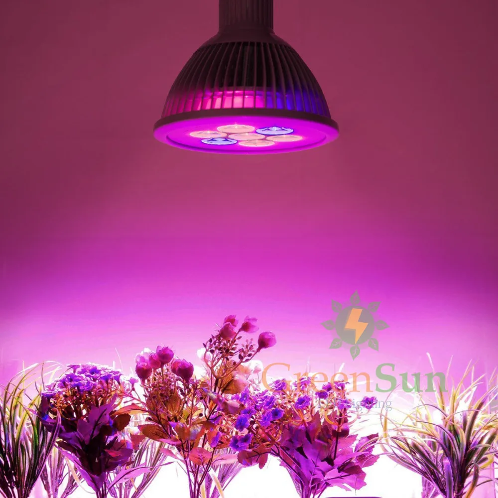 12 W/24 W E27 LED красный + синий растительный свет лампы Гидропоники Сад Крытый