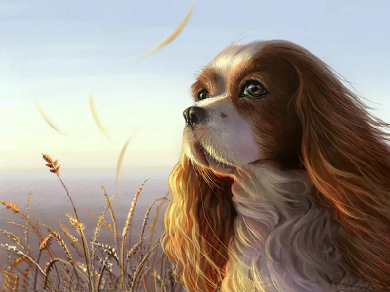

CAMMITEVER 5D Diy Diamond Painting Animal Dog Cross Stitch Diamond Mosaic Needlework Full Diamond Embroidery