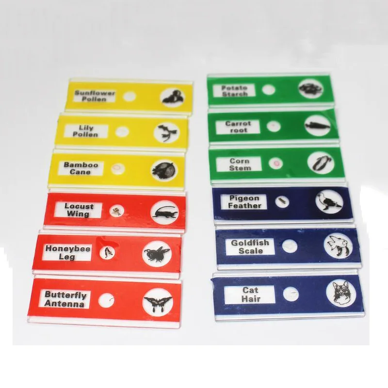 Детский Стандартный микроскоп 12 кусочков особый пластиковый биообразец