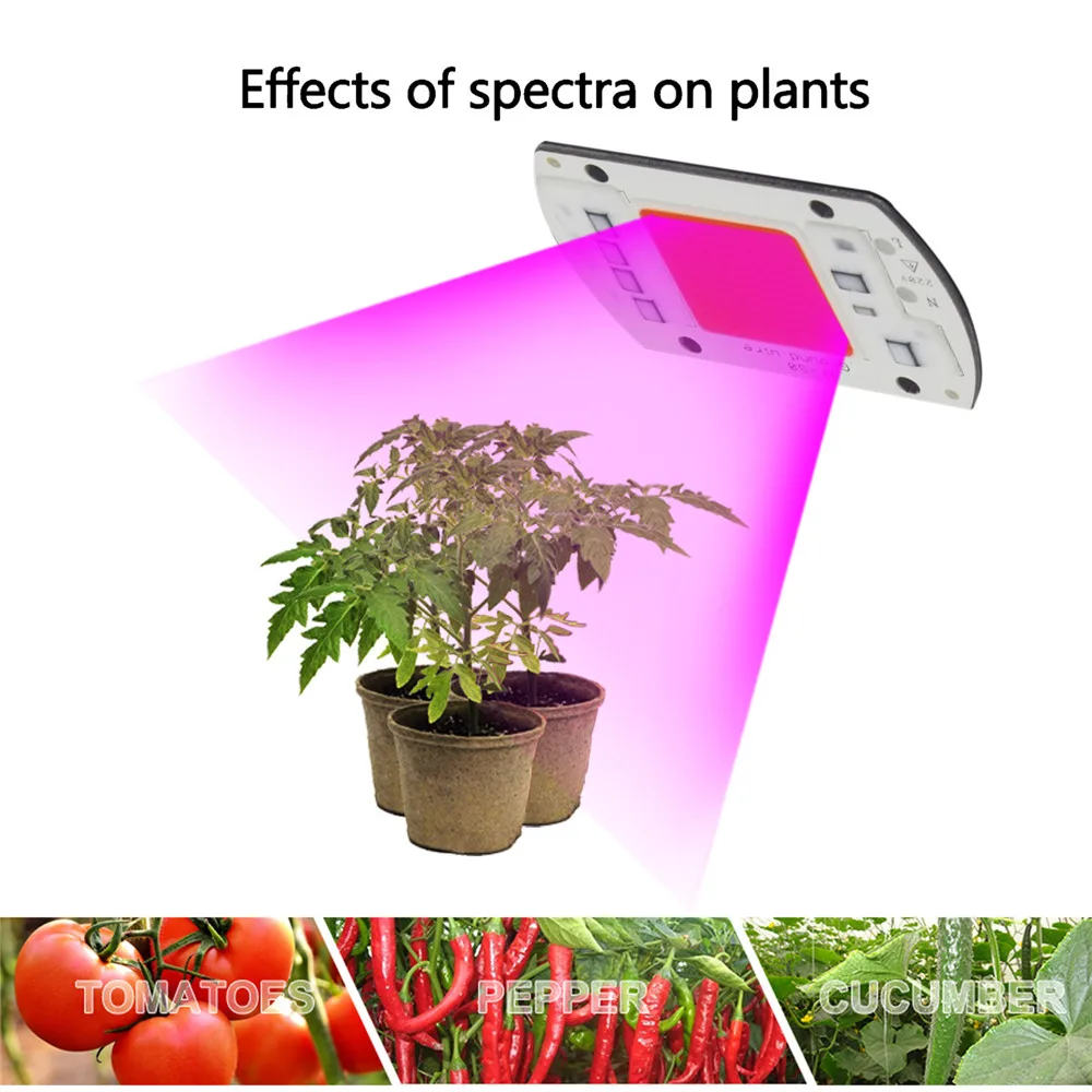 Чип полного спектра светодиодный ных ламп для выращивания растений, 10 шт., 220 В переменного тока, COB, 380 ~ 780нм, Actrual, мощность 20 Вт, 30 Вт, 50 Вт, заме... от AliExpress WW