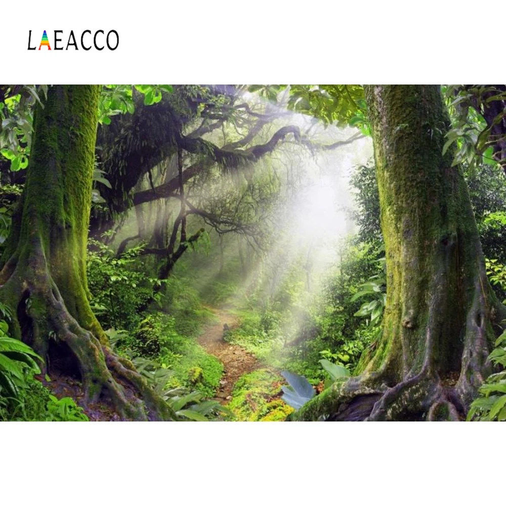 Laeacco старый Лес Дерево фотофоны индивидуальные Портретные Семейные для