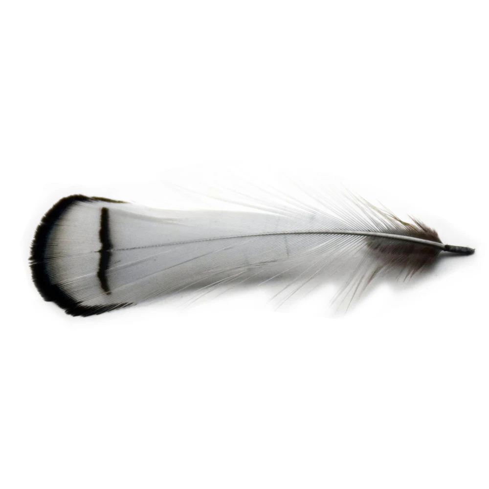 50 шт фазан Плюм крашеные Куриные перья для DIY брошь серьги Свадебные украшения