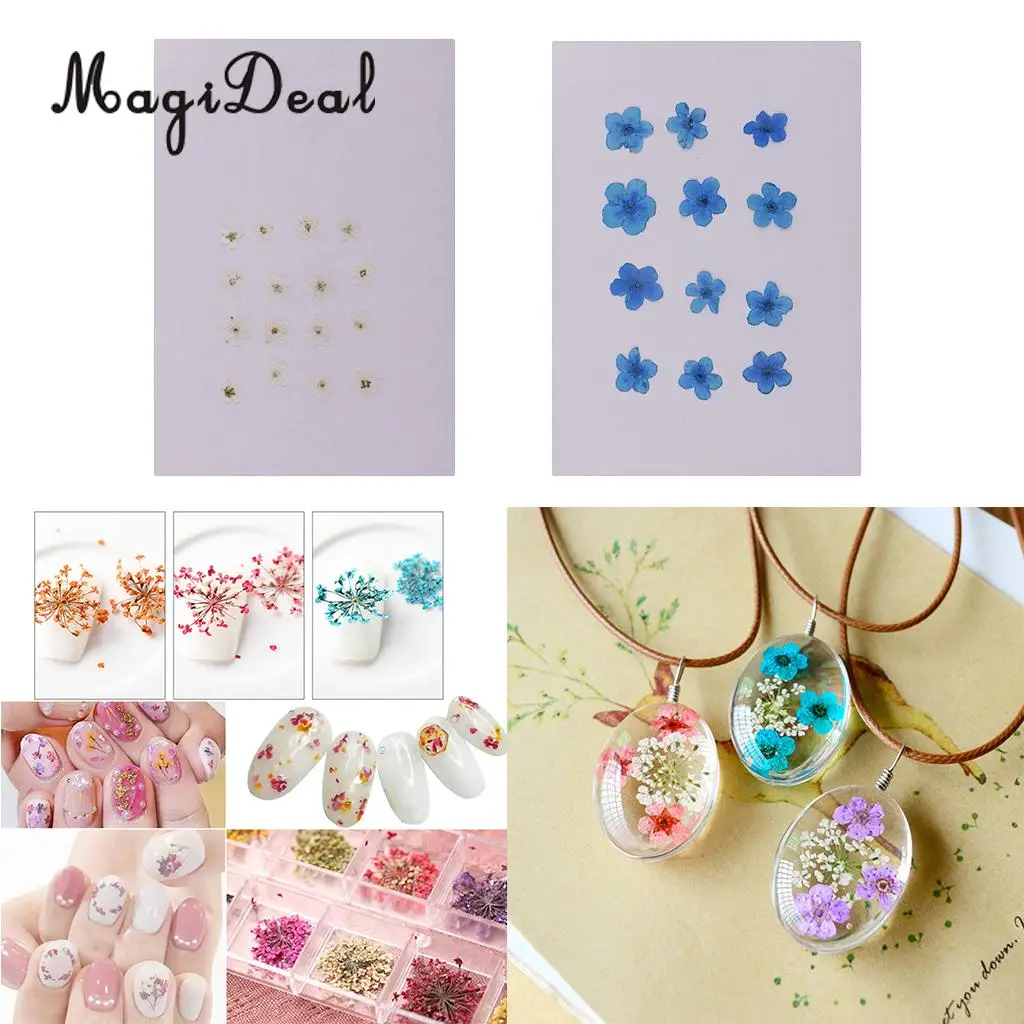 12 шт. декоративные элементы для дизайна ногтей|Искусственные и сухие цветы| |