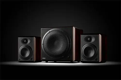 HIVI Лебеди H5 5 1 канал монитора колонки Hi Fi для активного отдыха дома Театр Системы