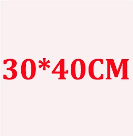 100X молния замок молния сверху матовые полиэтиленовые пакеты для одежды, футболки, юбки розничная упаковочные мешки для хранения индивидуальный логотип печать - Цвет: 30x40cm