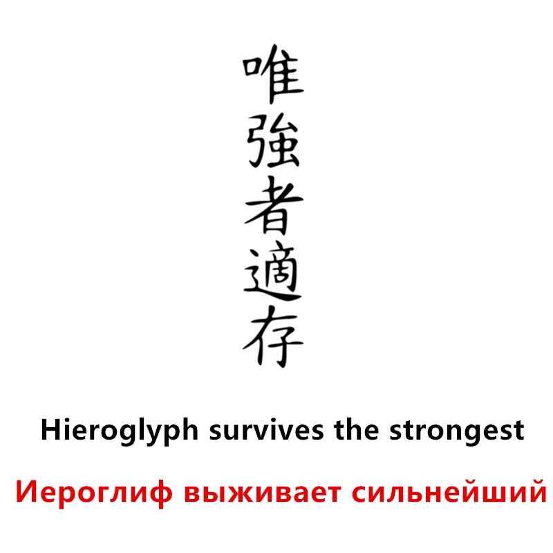 CK2811#40*8см наклейки на авто Иероглиф выживает сильнейший водонепроницаемые машину