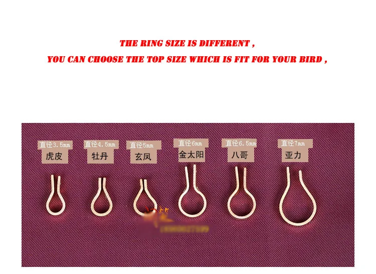 

Free shippping The cheapest parrot anklets U ring foot ring Bird frame chain