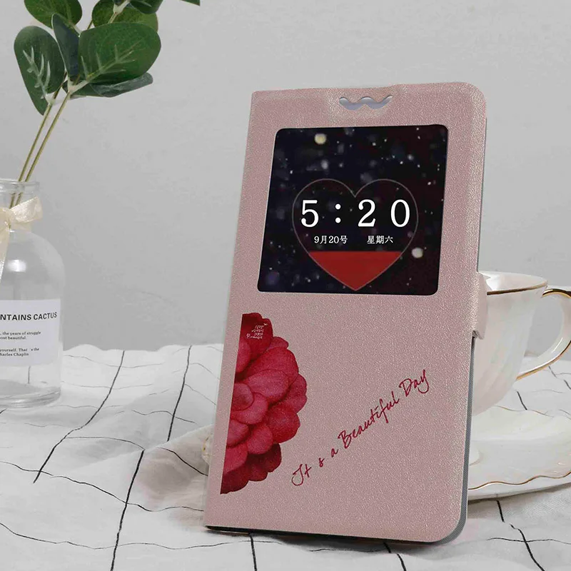 Flip cases For Alcatel 1 5033D 1C 5009[DA] 1X 5059D 3 3X 3V 3C 5 5V A7 A5 Led A3 Plus Painting Leather Protective Phone case bag - Цвет: Enthusiastic