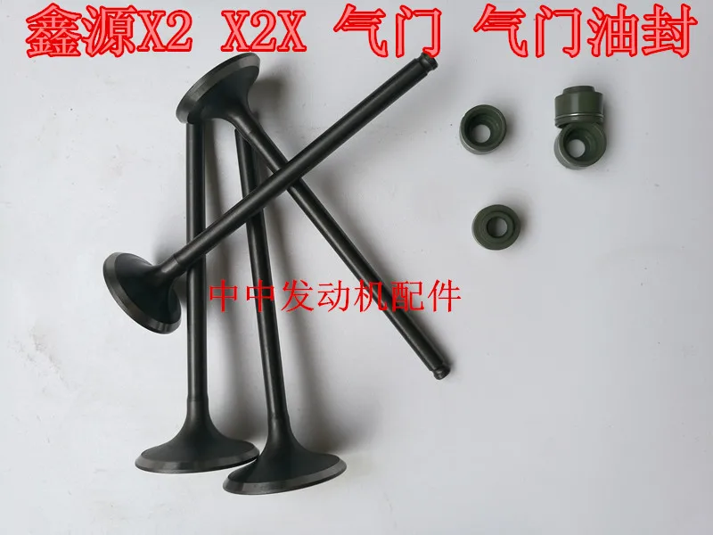 Shineray AX-1 детали двигателя 250cc клапан двигателя Впускной Выпускной клапан сальник мотоцикл X2 X2X xy250gy аксессуары