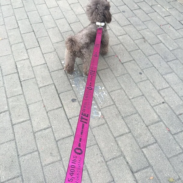 Rose Leash Ошейник для собак, нейлоновый поводок, модный ошейник для щенков, для маленьких собак, поводок для бега, поводок для собак, нейлоновая веревка для маленьких щенков, кошек - Цвет: Rose Leash