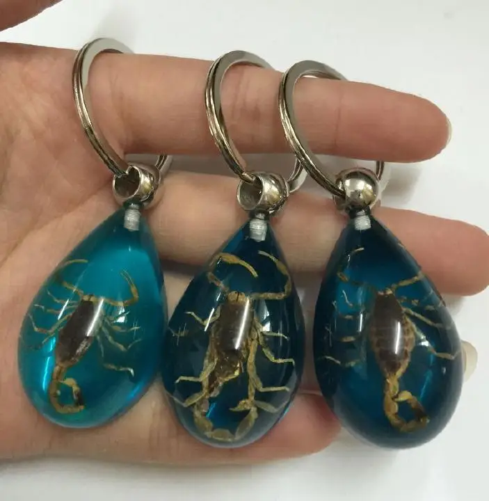 Высокое качество 12 шт. настоящее насекомое брелок образца ЗОЛОТОЙ СКОРПИОН в