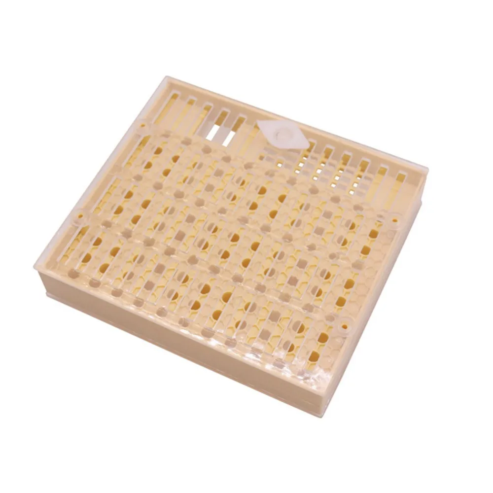 5 pcs Nicot Bee Beekeeping Tools Apicultura Honey Nicot Queen Bee Rearing System For Beekeeping Cage Plastic